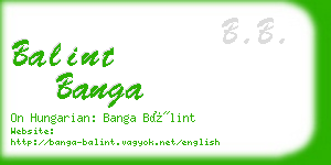 balint banga business card